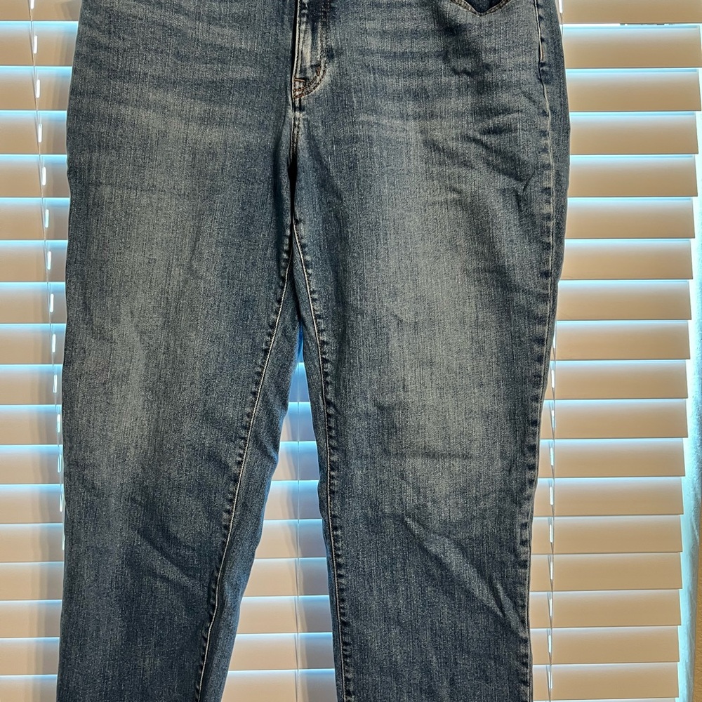 Women's Loft Boyfriend Cut Blue Jeans
